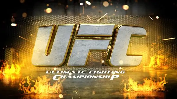 Phân Tích Fighter Stats Trước Khi Đặt Kèo LLWIN